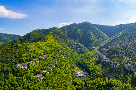 5A风景区天目湖南山竹海图片