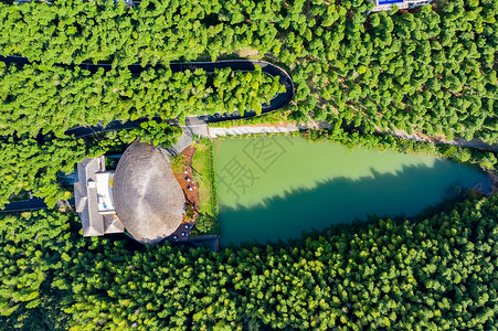 5A风景区天目湖南山竹海高清图片