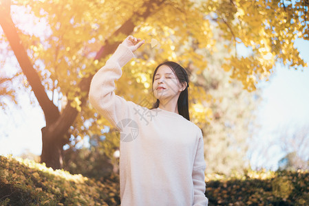 秋天的银杏与少女背景图片