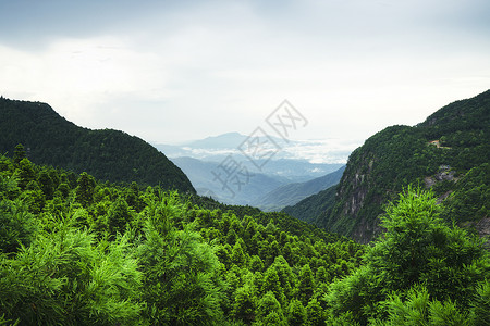 5a风景区明月山5A风景区明月山风景区背景