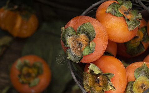 秋季果实当季新鲜甜蜜柿子背景