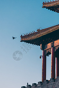 大气端庄的北京故宫红墙绿瓦宫廷建筑背景图片