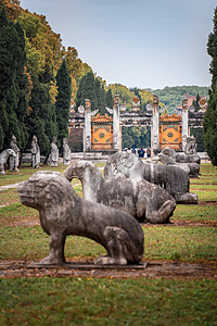 陵园墓地明显陵背景