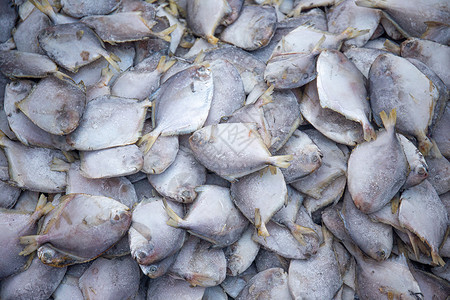 冰冻的鲳鱼海鲜市场早市高清图片