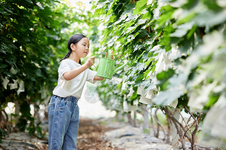 浇水截面和浇水拿着洒水壶给植物浇水的小女孩背景