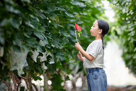 农场生活童年开心玩着风车的小女孩背景