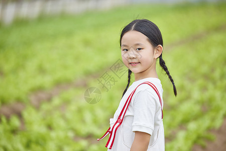 在蔬菜大棚的小女孩形象图片