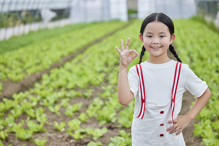 在蔬菜大棚的小女孩做ok手势图片