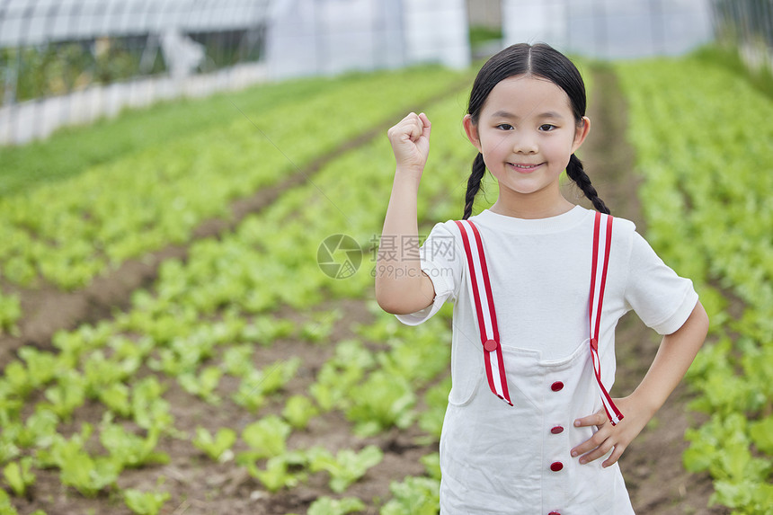 在蔬菜大棚的小女孩形象图片