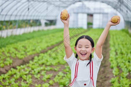 在蔬菜大棚手拿土豆的小女孩图片