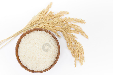 白底大米水稻静物高清图片
