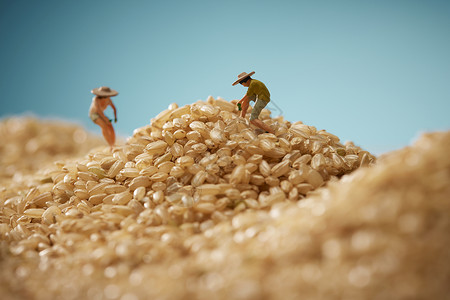 食物稻米籼米杂粮五谷静物背景