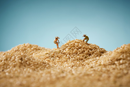 小土堆粳米籼米粗粮食物静物背景