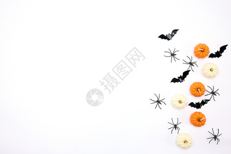 恐怖蜘蛛白色背景下的南瓜蜡烛和蝙蝠背景