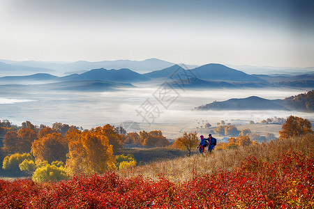 内蒙古赤峰坝上秋色背景