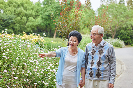 一起生活手公园一起赏花的老年夫妻背景