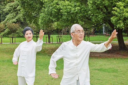 激气老年夫妻公园打太极背景