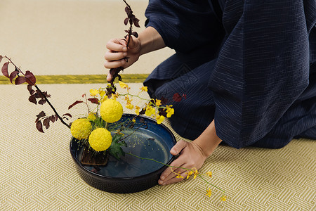 日系男性花艺师调整花枝特写图片