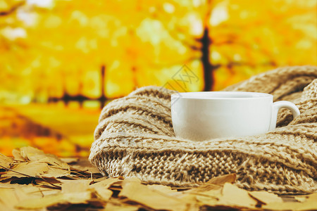 秋季热饮背景图片