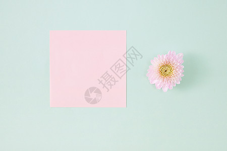 粉色小雏菊贺卡背景图片