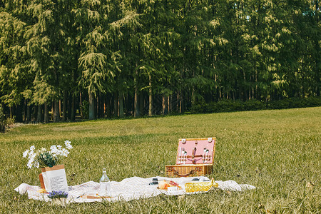 鲜花篮公园草坪野餐垫背景