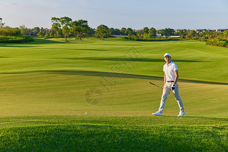 远景树远景打高尔夫球的人背景