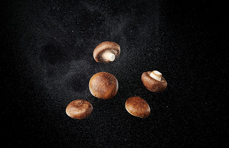 飞起悬空的香菇背景图片