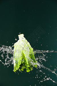 绿色蔬菜菜叶子被水淋到的新鲜生菜背景