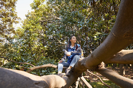 坐下人物素材独自森林徒步的女生坐在树上休息背景
