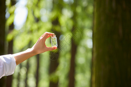 采集植物样本特写高清图片