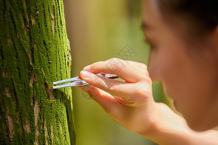 白天科学家在森林采样植物样本特写高清图片