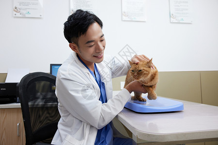 男性兽医抚摸生病的猫咪图片