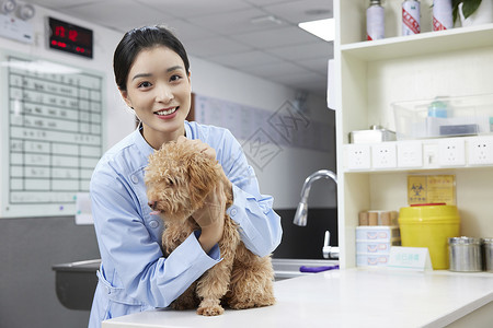 宠物医院护士与狗狗图片