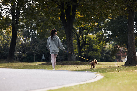 ps牵狗素材在公园牵着狗散步的美女背景