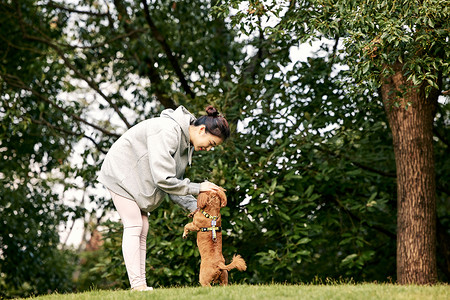 中国冠毛犬在公园里和泰迪一起玩耍的运动少女背景