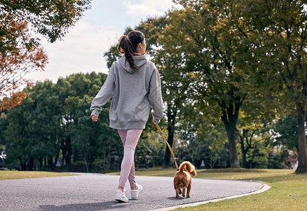 人和宠物背影在公园里和泰迪一起散步的运动少女背景