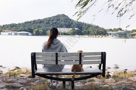 主人和萌宠泰迪坐在湖边的长椅上高清图片