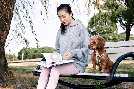 坐在湖边的女孩儿坐在公园长椅上的阅读少女和萌宠泰迪背景