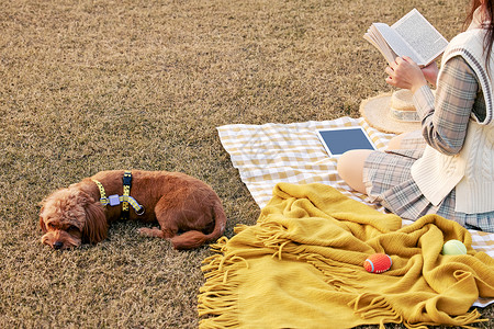 草地上看书的清新美女和狗狗特写图片
