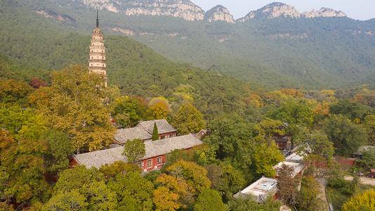 山东济南灵岩寺秋季风光背景