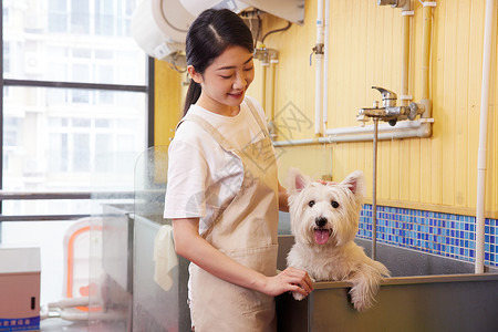 宠物店女性技师给宠物狗狗洗澡图片