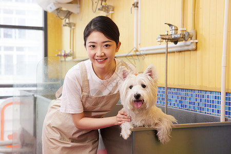 宠物店女性技师给宠物狗狗洗澡背景图片