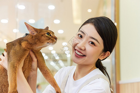 宠物店女性技师给宠物猫做美容背景图片