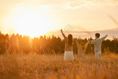 幸福一家人纯色夕阳下走在稻田里的一家人背影背景