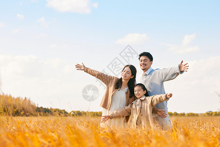 成熟的孩子秋季郊游的快乐一家人形象背景