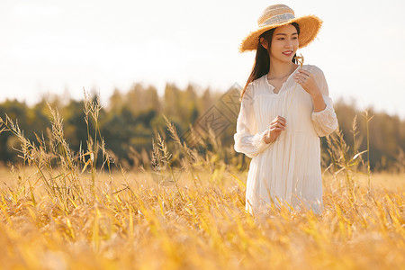 穿着连衣裙走在稻田里的女性图片