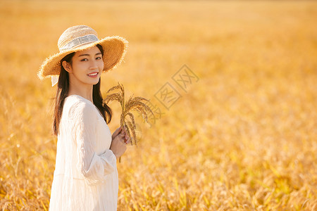 连衣裙上新穿着连衣裙走在稻田里的少女背景