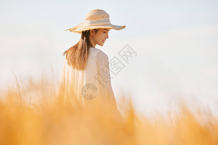 种植头发穿着连衣裙走在稻田里的少女背景