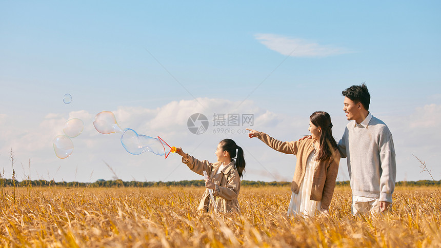 一家人户外稻田郊游玩耍图片