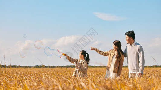 立秋时节一家人户外稻田郊游玩耍背景